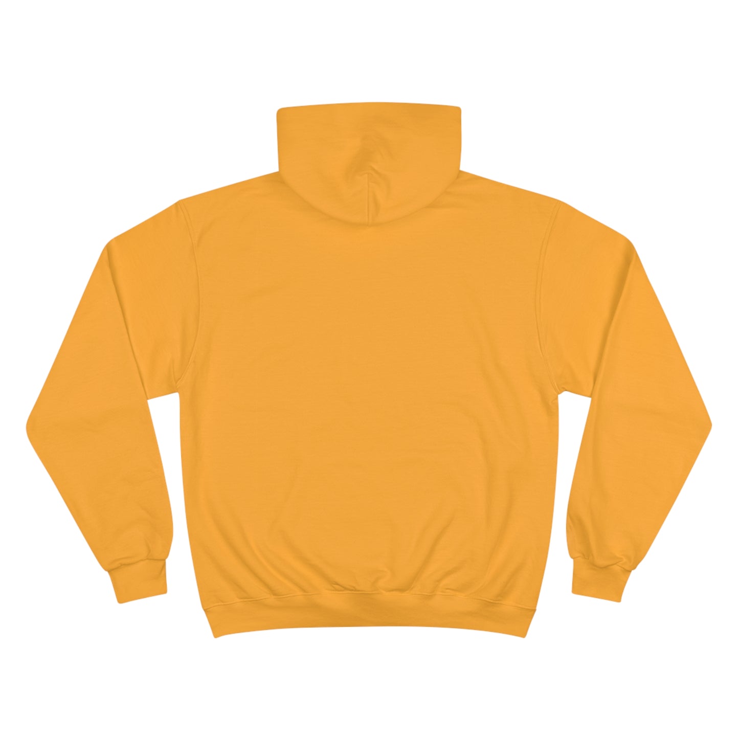 Vintage 1970 Champion Hoodie | Limited Edition GENX Design